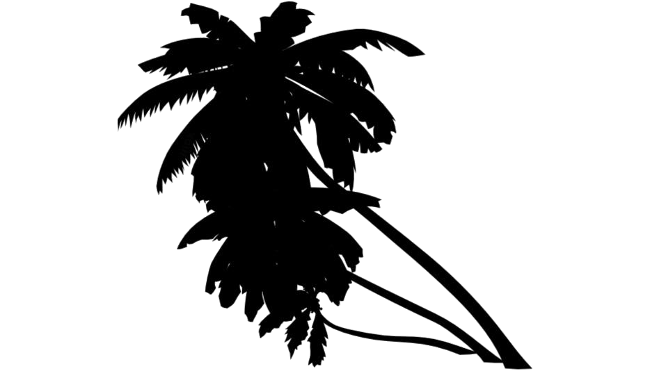 Coconut Tree Silhoutte PNG Picture