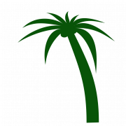 Вектор кокосового дерева PNG фото