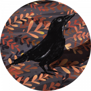 Common Blackbird PNG0