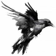 Common Raven PNG