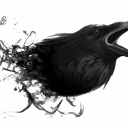 Corone Raven Bird PNG Image HD