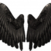 Devil Wings PNG