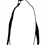 Emperor Penguin Bird PNG Download Image
