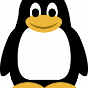 Emperor Penguin Bird PNG Free Image