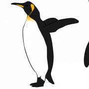 Emperor Penguin Bird PNG Image File