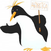 Emperor Penguin Bird PNG Picture