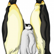 Emperor Penguin Bird Transparent