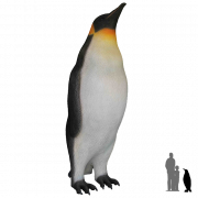 Emperor Penguin Chick PNG Free Image