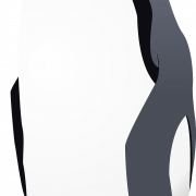 Emperor Penguin Chick PNG Pic