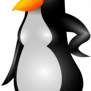 Emperor Penguin Chick PNG Picture