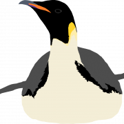 Emperor Penguin PNG Download Image