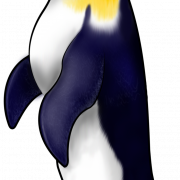 Emperor Penguin PNG Free Download