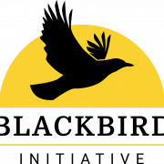 Flying Blackbird PNG Download Image