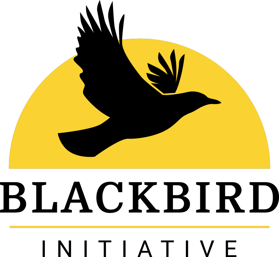 Flying Blackbird PNG Download Image