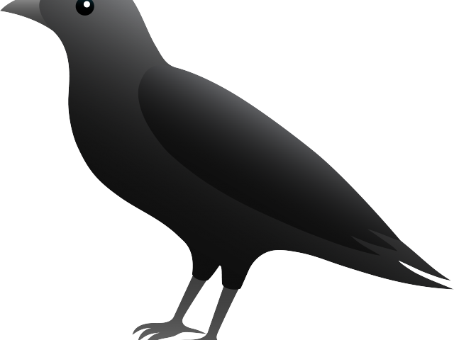 Flying Blackbird PNG Image