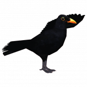 Flying Blackbird PNG Picture