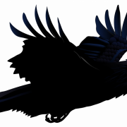 Flying Common Raven PNG