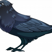 Flying Common Raven PNG File