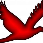 Flying Rook Bird PNG Pic
