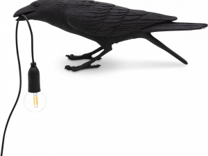 Hooded Crow PNG Download Image