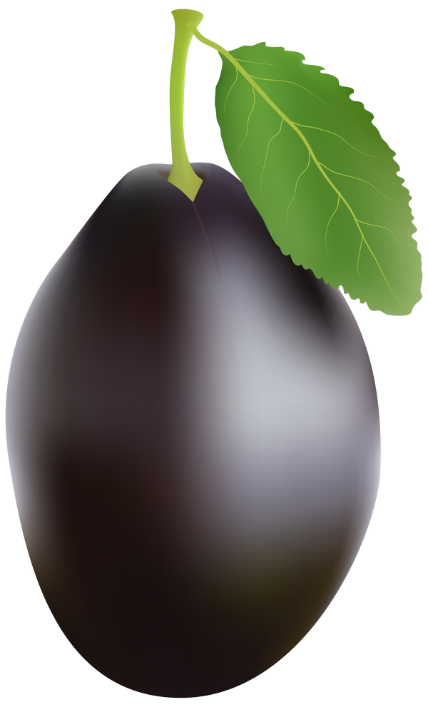 Java Plum Fruit Png Clipart