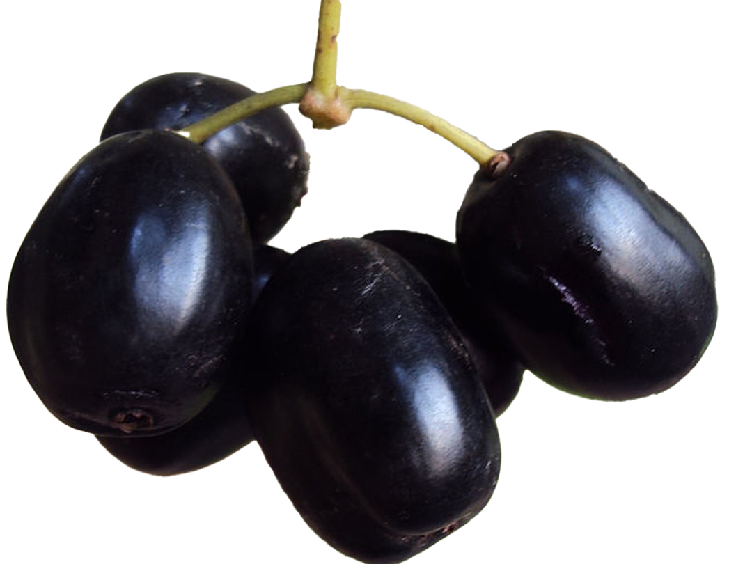 Java Plum Fruit PNG