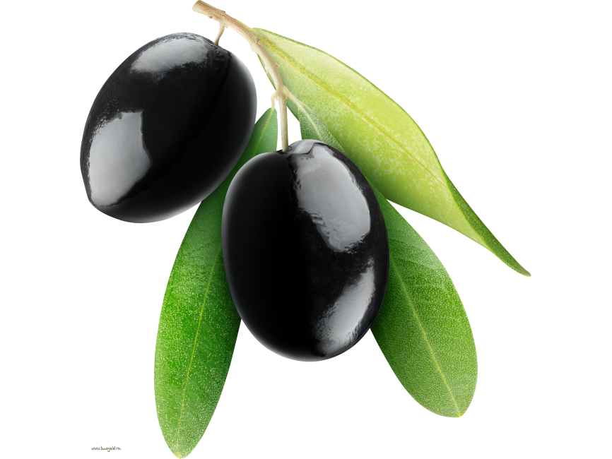Java Plum PNG Picture