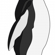 King Penguin Bird PNG Clipart