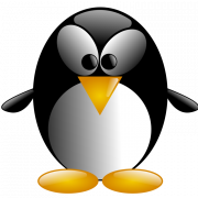 King Penguin Bird PNG Download Image