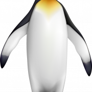 King Penguin Bird PNG File