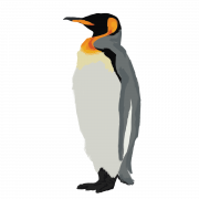 King Penguin Bird PNG Free Download