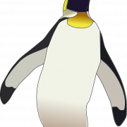 King Penguin Bird PNG Free Image