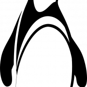 King Penguin Bird PNG High Quality Image