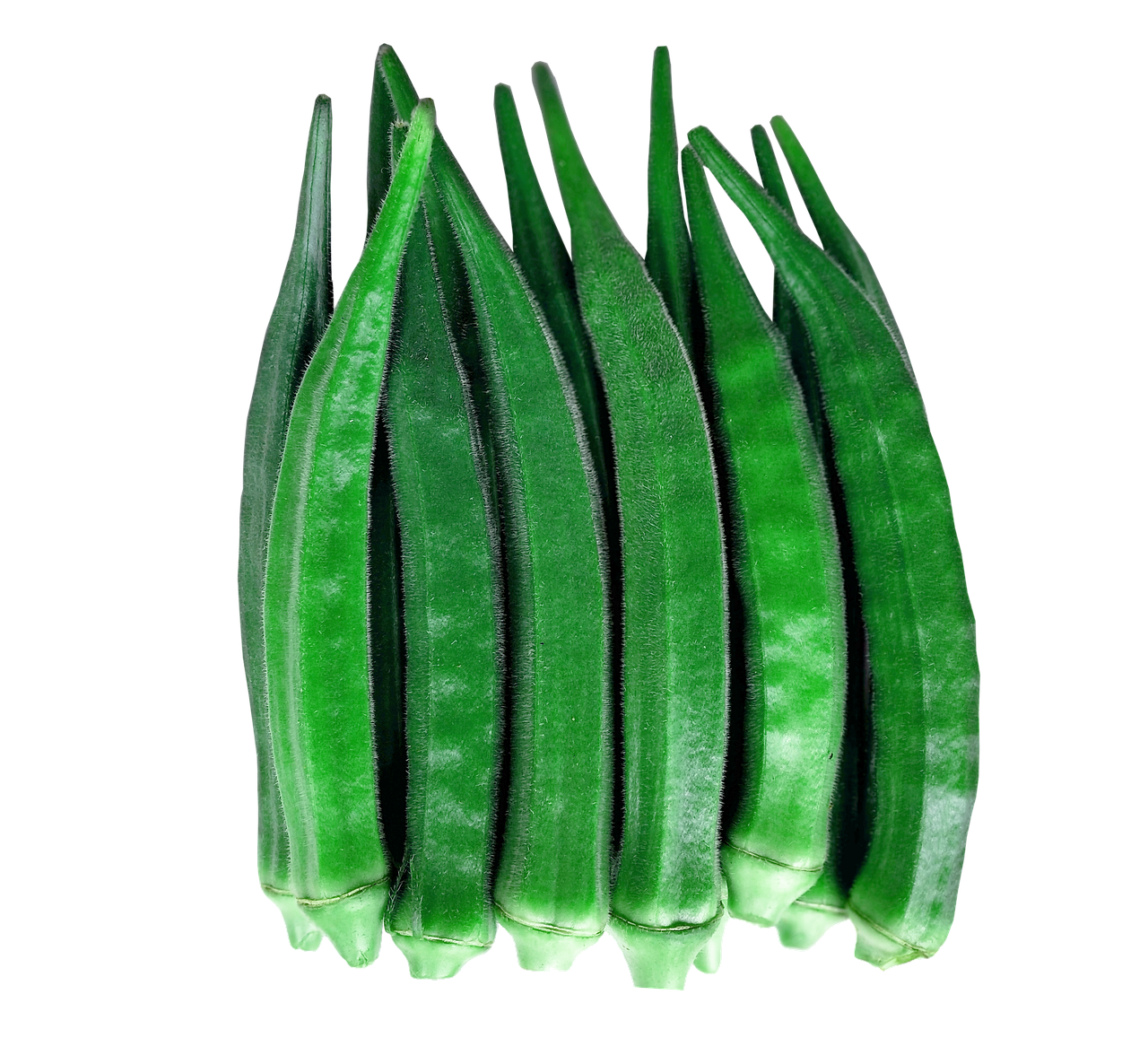 Lady Finger Okra PNG Pic