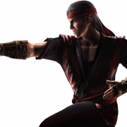 Mortal Kombat Personagens PNG HD Imagem