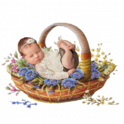 Newborn Baby Basket PNG Picture