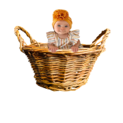 Transparente de cesta de bebê recém -nascido