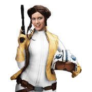 Princesa Leia PNG