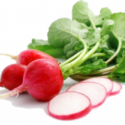 Radish PNG Picture
