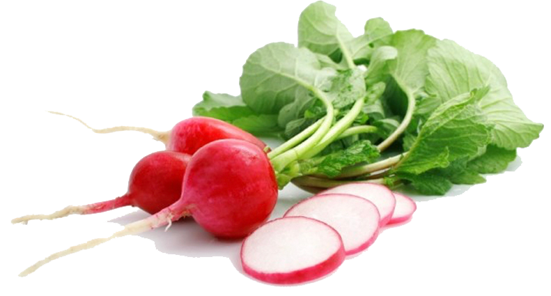 Radish PNG Picture