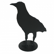Sitting American Crow PNG High Quality Image
