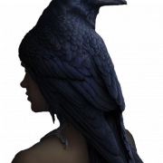 Sitting American Crow PNG Transparent HD Photo