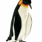 Standing King Penguin