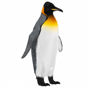 Standing King Penguin PNG Free Download