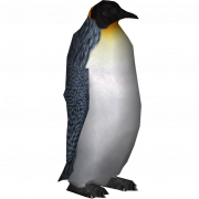 Standing King Penguin PNG Free Image