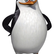 Standing King Penguin PNG Image File