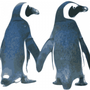 Standing King Penguin PNG Image HD