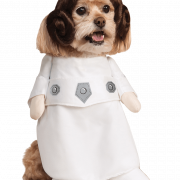Star Wars Prinzessin Leia PNG Datei