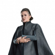 Yıldız Savaşları Prenses Leia PNG resmi