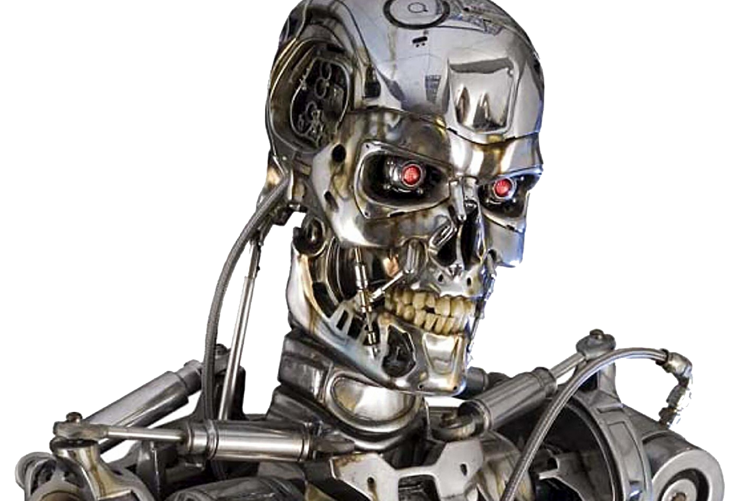 Terminators терминаторы. Т-800 Терминатор. Скелет Терминатора т 1000. Терминатор 2 робот.
